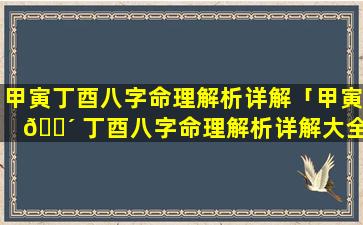 甲寅丁酉八字命理解析详解「甲寅 🌴 丁酉八字命理解析详解大全 🌼 」